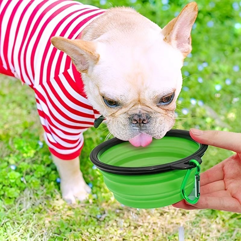 Collapsible Dog Travel Water Bowl with Carabiner Clip - Black